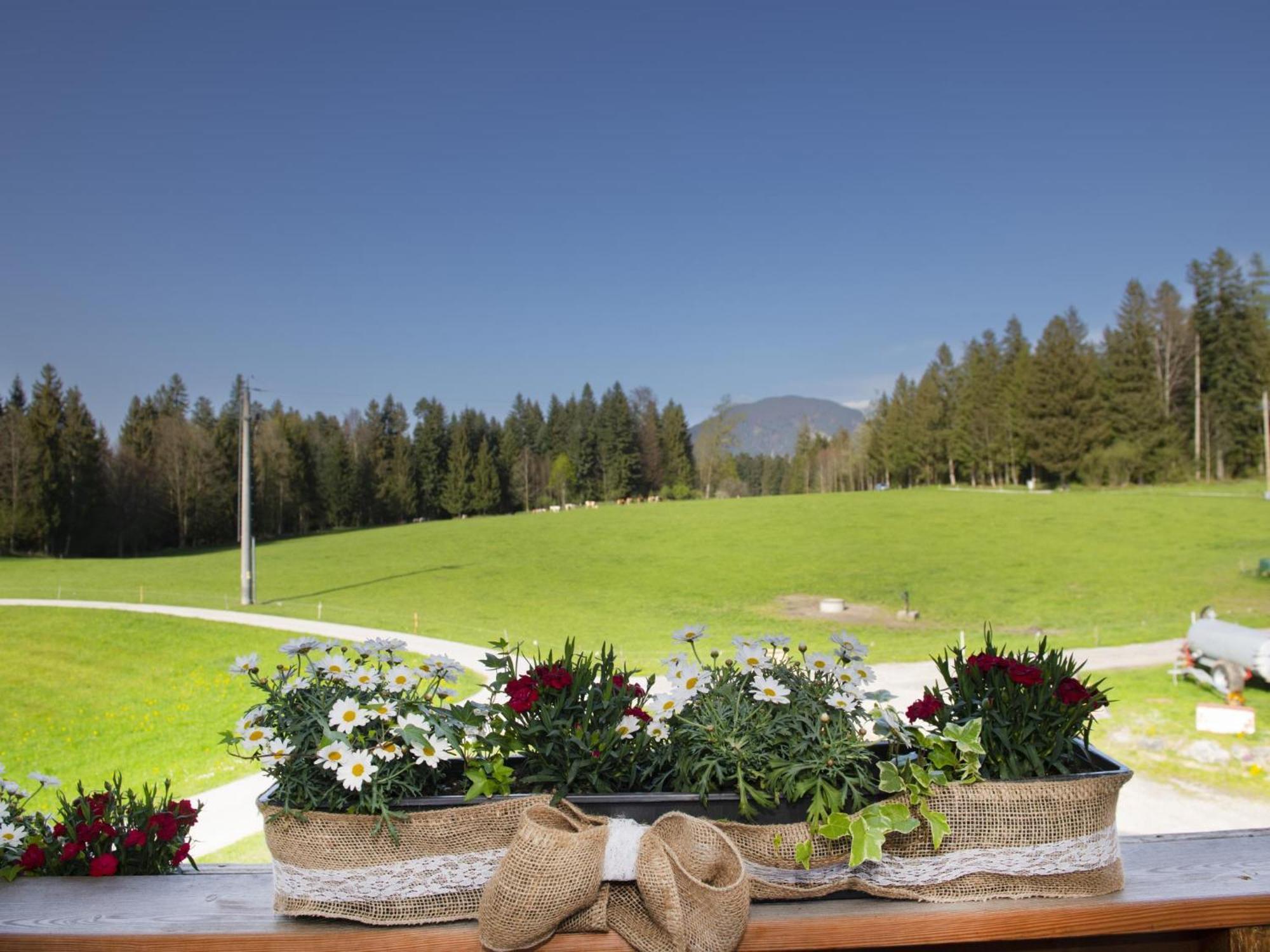 Apartmán Auszeit Am Bauernhof Schwoich Exteriér fotografie